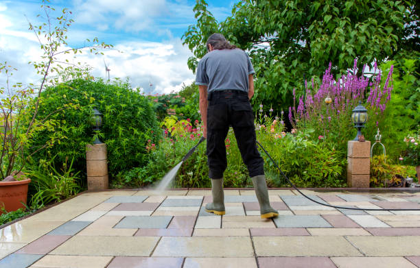 Best Fence Cleaning  in Canton, OH